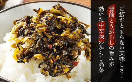 からし高菜120g×6個セット《豊前市》【株式会社瑞穂】 [VBG004]