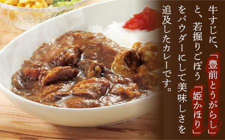 手づくり 牛すじ カレー 210g×2個 《豊前市》【瑞穂農園】 レトルトカレー カレーライス 牛肉 [VBG009]