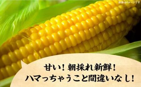 【2026年6月以降出荷分予約】下山農園 としちゃんの農家直送スイートコーン約4kg（11～13本入り）【豊前市】とうもろこし 野菜 BBQ [VBH001]