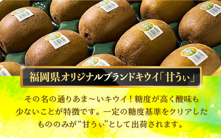 【先行予約】【福岡限定ブランド キウイ】「 甘うぃ ( あまうぃ )」約1.5kg箱(12-15玉)【2025年10月以降順次発送】《豊前市》【南国フルーツ株式会社】キウイ 果物 フルーツ ＜離島配送不可＞[VBY004]