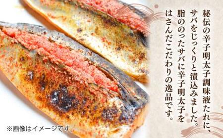 さば明太 大容量16枚 秘伝の辛子明太子 液たれ仕込み《豊前市》【株式会社マル五】 [VCL013]