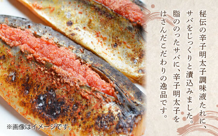 さば明太6枚・いわし明太6尾セット《豊前市》【株式会社マル五】 [VCL016]