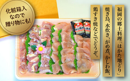 【化粧箱入】はかた地どり モモ・ムネ肉 合計500g 塩胡椒付焼き鳥 焼き肉 すき焼き用《豊前市》【株式会社マル五】 [VCL029]