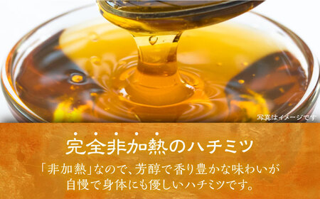 日本ミツバチの蜂蜜(ギフトセット150g×2本)《豊前市》【日本ミツバチことえ工房】蜂蜜 はちみつ ハチミツ [VCM001]