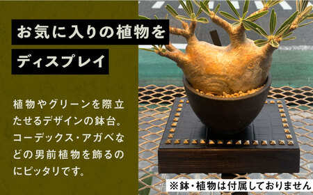 1点モノ 鉢台 A 《豊前市》【CIRCLE TIGER 9999】インテリア 植物 グリーン 室内 観葉植物 [VCS001]