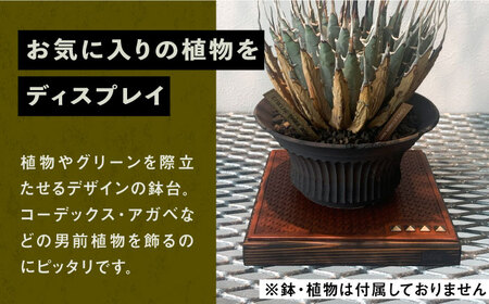 1点モノ 鉢台 B《豊前市》【CIRCLE TIGER 9999】インテリア 植物 グリーン 室内 観葉植物 [VCS002]