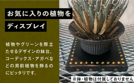 1点モノ 鉢台 D《豊前市》【CIRCLE TIGER 9999】インテリア 植物 グリーン 室内 観葉植物 [VCS004]