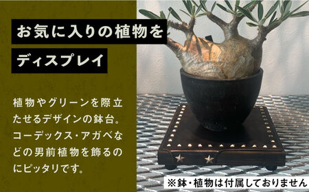 1点モノ 鉢台 E《豊前市》【CIRCLE TIGER 9999】インテリア 植物 グリーン 室内 観葉植物 [VCS005]