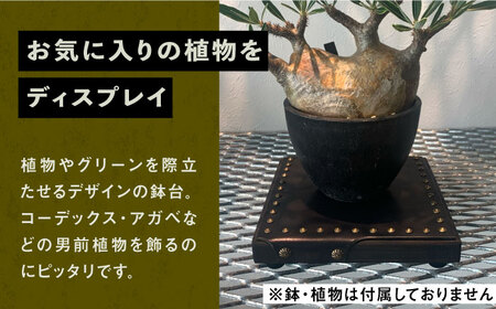 1点モノ 鉢台 F《豊前市》【CIRCLE TIGER 9999】インテリア 植物 グリーン 室内 観葉植物 [VCS006]