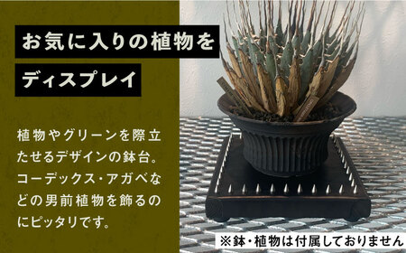 1点モノ 鉢台 G《豊前市》【CIRCLE TIGER 9999】インテリア 植物 グリーン 室内 観葉植物 [VCS007]