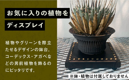 1点モノ 鉢台 H《豊前市》【CIRCLE TIGER 9999】インテリア 植物 グリーン 室内 観葉植物 [VCS008]