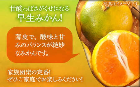 ミカン 早生 5kg《豊前市》【山田農場 フルーツランド】ミカン みかん 早生みかん [VCY008]