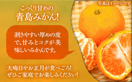 ミカン 青島 3kg《豊前市》【山田農場 フルーツランド】ミカン みかん 青島みかん [VCY010]