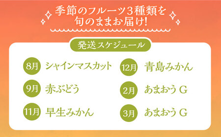 【全6回定期便】フルーツ定期便 《豊前市》【山田農場 フルーツランド】 果物 くだもの フルーツ [VCY016]
