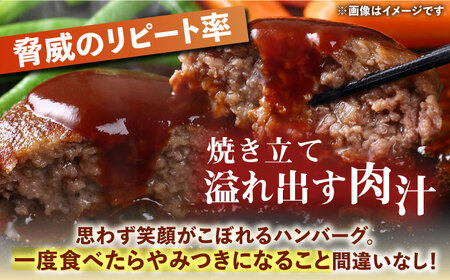 ハンバーグ屋の肉汁溢れる生ハンバーグ 150g×20個《豊前市》【鉄板ダイニング チオハウス】 ハンバーグ 冷凍 [VDC004]