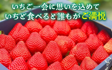 【先行予約】津田くん農園のあまおう 1kg 【2026年1月5日-2月末発送】《豊前市》【株式会社くしだ企画】苺 いちご あまおう [VDG001]