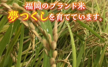 【先行予約】【新米】津田くん農園の夢つくし 10kg【2025年10月以降順次発送】《豊前市》【株式会社くしだ企画】米 白米 お米 ご飯 [VDG002]