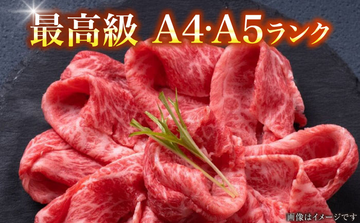 【A4～A5ランク】博多和牛  ミスジスライス 400g 《豊前市》【株式会社木村食品】 希少部位 しゃぶしゃぶ みすじ [VDZ026]