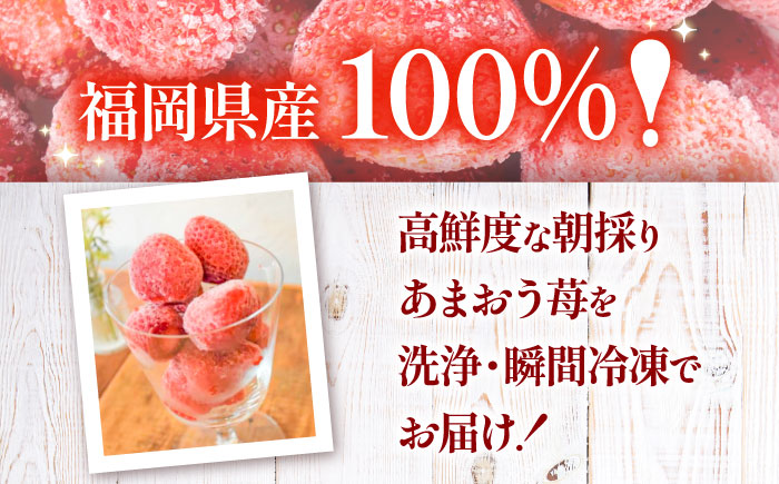 【訳あり】福岡県産 冷凍あまおう 1kg (250g×4個) 《豊前市》【株式会社木村食品】 いちご 苺 イチゴ 取り寄せ [VEG012]