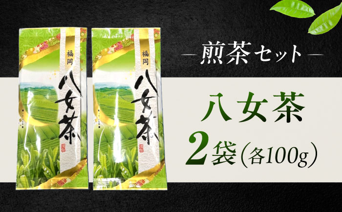 八女茶 煎茶セット 100g×2袋 《豊前市》【株式会社木村食品(千代海苔株式会社)】 [VEH016]