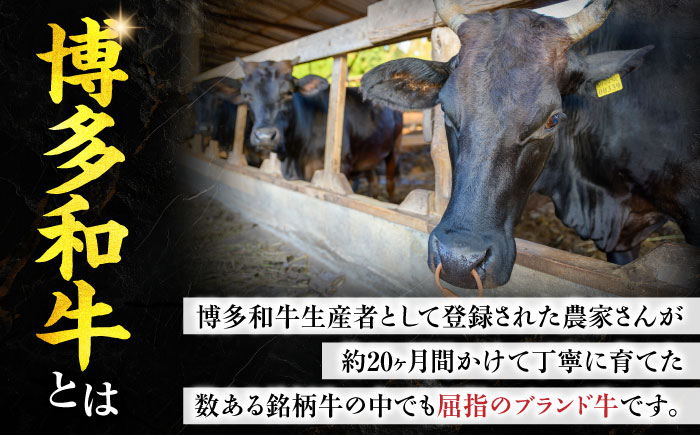 博多和牛 モモ焼肉用 400g 《豊前市》【JA全農ミートフーズ株式会社】 [VET003]