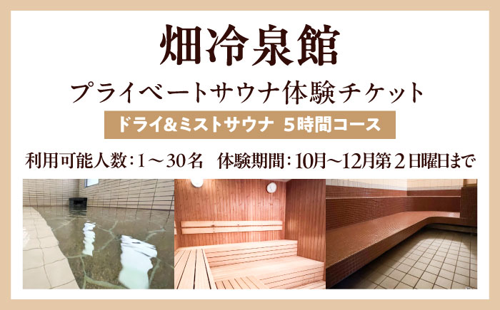 【西日本屈指の冷泉】名水・畑冷泉を独り占め。プライベートサウナ体験チケット 5時間コース（ミスト＆ドライサウナ） 《豊前》【豊前市畑活性化協議会】 [VEX004]