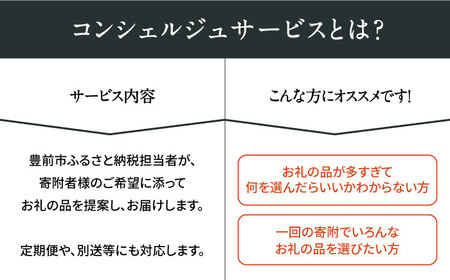 【あなただけの特別プラン】豊前市 コンシェルジュ 寄附額 50万円 コース 《豊前市》 おすすめ おまかせ 定期便 [VZZ001]