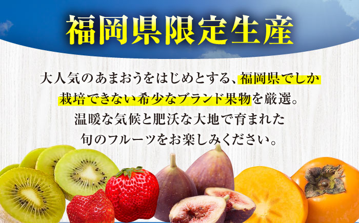 【全3回定期便】フルーツ定期便 5万円コース (あまおう2種＆柿) 《豊前市》【豊前市定期便】 [VZZ015]