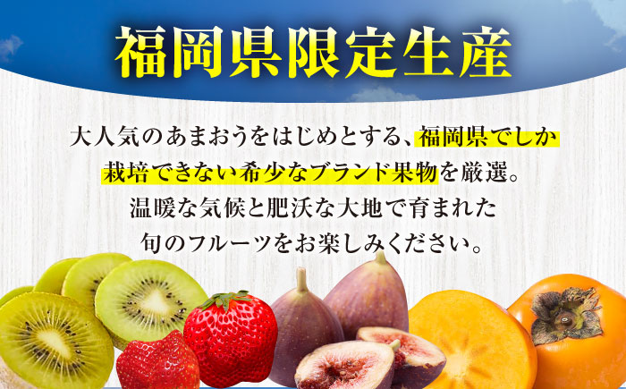 【全5回定期便】フルーツ定期便 8万円コース(あまおう3種＆いちじく＆キウイ) 《豊前市》【豊前市定期便】 [VZZ021]