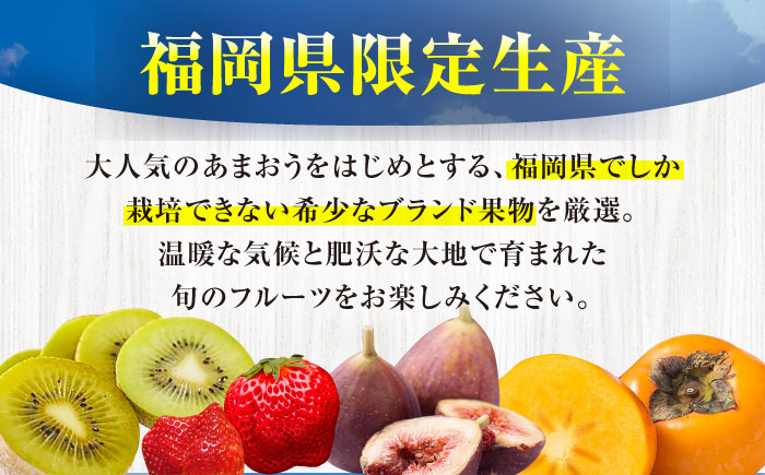 【全6回定期便】フルーツ定期便 10万円コース(あまおう4種＆キウイ＆柿) 《豊前市》【豊前市定期便】 [VZZ025]