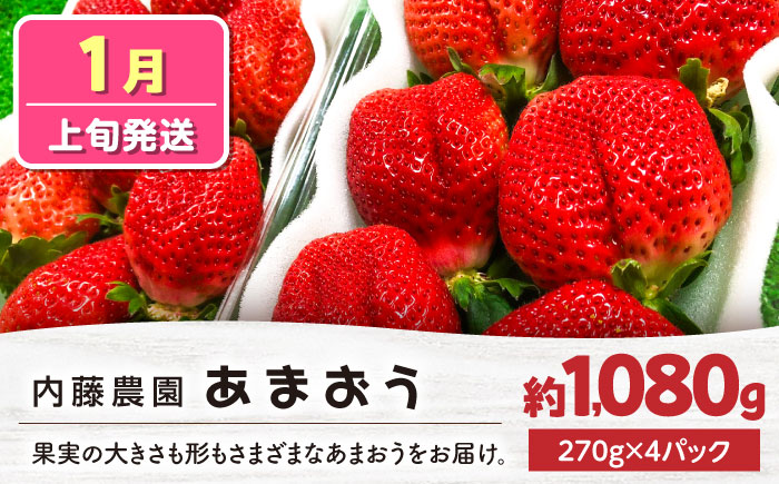 【全3回定期便】あまおう3種食べ比べ返礼品 5万円コース 《豊前市》【豊前市定期便】 [VZZ027]