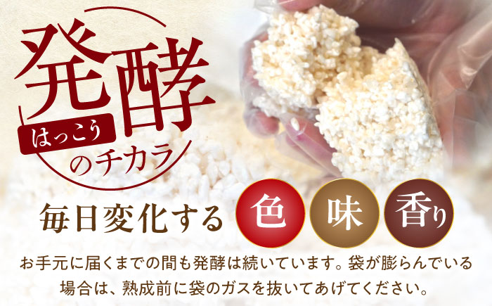 育てる味噌 10kg《豊前市》　【浦野醤油醸造元】みそ 米味噌 [VAV020]