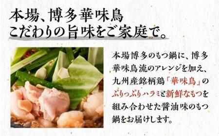 【全6回定期便】博多華味鳥 博多もつ鍋 鶏はらみ セット 3~4人前 《豊前市》【トリゼンフーズ】博多 福岡 鍋 鶏 もつ もつ鍋 [VAC016]