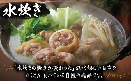 【全3回定期便】博多華味鳥 水炊き＆もつ鍋 セット 6~8人前 《豊前市》【トリゼンフーズ】博多 福岡 鍋 鶏 水たき みずたき もつ もつ鍋 [VAC018]