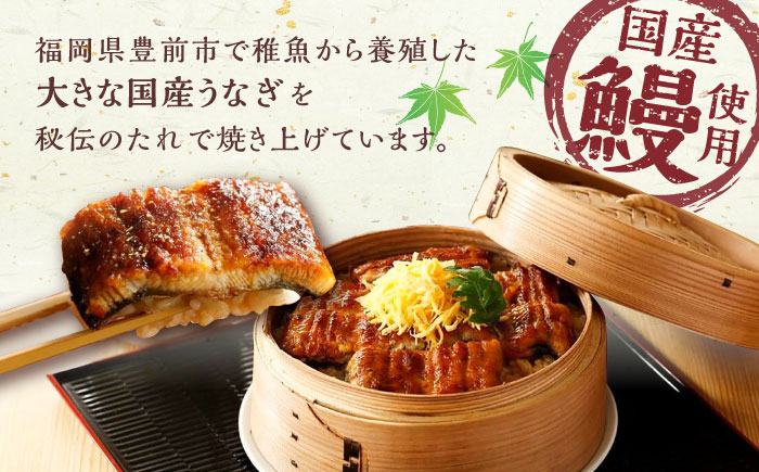 福岡県産 うなぎ 蒲焼 大5尾 合計 800 g（1尾あたり 160g以上）《豊前市》【福岡養鰻】 国産 うなぎ 大 [VAD004]