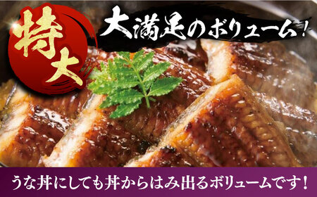 福岡県産 うなぎ 蒲焼 特大 10尾 計2,200g（1尾あたり 220g以上）《豊前市》【福岡養鰻】 国産 鰻 ウナギ 蒲焼き [VAD030]