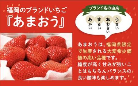 【2026年1月下旬より順次発送】ココロファーム の 濃厚あまおう 270g ×4P 1080g以上《豊前市》【ココロファーム】[VAE018] 苺 いちご あまおう 福岡県産 先行予約