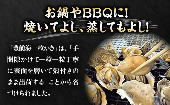 【先行予約】豊前海一粒かき 3kg 【2026年1月中旬以降順次発送】  《豊前市》【豊築漁業協同組合】 牡蠣 カキ かき 牡蛎 [VAG007]