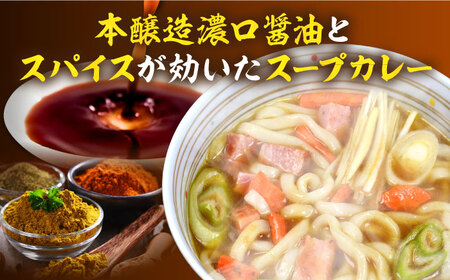 【第6回定期便】 スープカレーうどん (12食入り)≪豊前市≫【富士菊】 うどん カレー 麺 [VAI072]