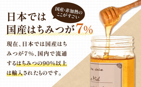 春の完熟はちみつ 里山 450g《豊前市》【須田養蜂場】蜂蜜 はちみつ 調味料 ギフト [VAR005]