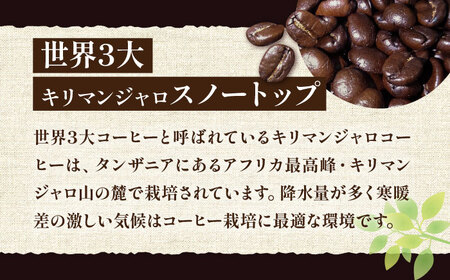 ふるさと納税 キリマンジャロ コーヒー 2種 ( 浅煎り フルーツフレーバー ＆ 中煎り チョコレートフレーバー )《豊前市》【稲垣.. 福岡県豊前市 キリマンジャロ コーヒー 2種 （ 浅煎り フルーツフレーバー ＆ 中煎り