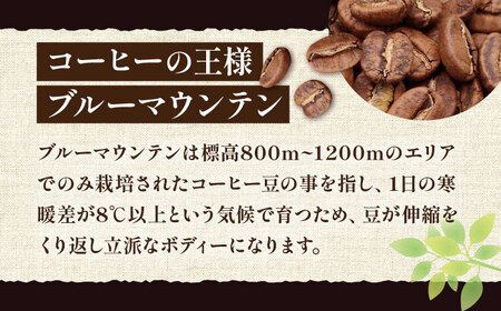 【全6回定期便】ブルーマウンテン NO.1 ブレンド コーヒー ( 浅煎り )《豊前市》【稲垣珈琲】 珈琲 コーヒー 豆 粉 [VAS168]