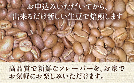 【全3回定期便】【ギフト用】ペルー コーヒー 浅煎り 250g×2 《豊前市》【稲垣珈琲】珈琲 コーヒー 豆 粉 有機 贈り物 [VAS206]
