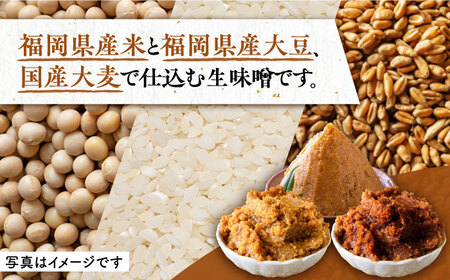 麹の力みそ 3点 セット（米・合わせ・玄米）～老舗の醤油蔵からお届け～ 《豊前市》【浦野醤油醸造元】味噌 美味しい お試し [VAV006]