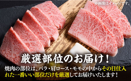 博多和牛 焼肉用 500g バラ ロース もも 《豊前市》【株式会社Meat Plus】 焼肉 肉 黒毛和牛 [VBB002]