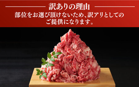 【A4以上】博多和牛 切り落とし 5kg （500g×10P）《豊前市》【MEAT PLUS】肉 牛肉 バラ 牛肩 [VBB026]