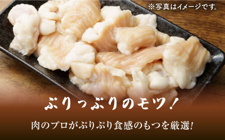 【全国総合ランキング1位】博多 醤油 もつ鍋 セット 3～4人前《豊前市》【MEAT PLUS】 もつ鍋 もつ 醤油 博多 福岡 [VBB033]