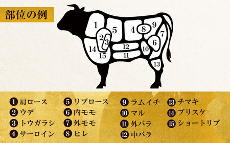 【半頭丸ごとオーダーカット！】博多和牛 半頭食べ尽くしセット《豊前市》【株式会社MEAT PLUS】 [VBB083]