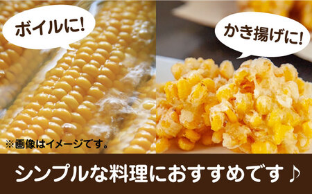 【先行予約受付　2026年6月頃より順次発送】【冷蔵配送】農家直送 朝どれ スイートコーン 約4kg（9～12本入り）《豊前市》【湯越農園】 野菜 コーン [VBC001] とうもろこし