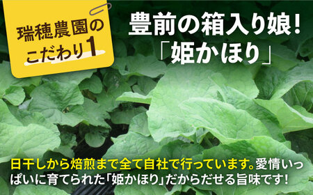 ごぼう茶 豊前姫かほり 500ml × 24本 《豊前市》【瑞穂農園】 飲料 お茶 [VBG003]
